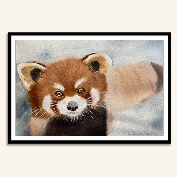 Rød panda akvarel maleri af Kamilla Ruus