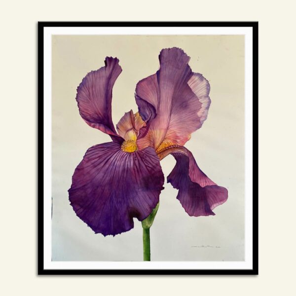 80x80 cm maleri af lilla iris blomst af Kamilla Ruus